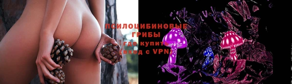 амф Волосово