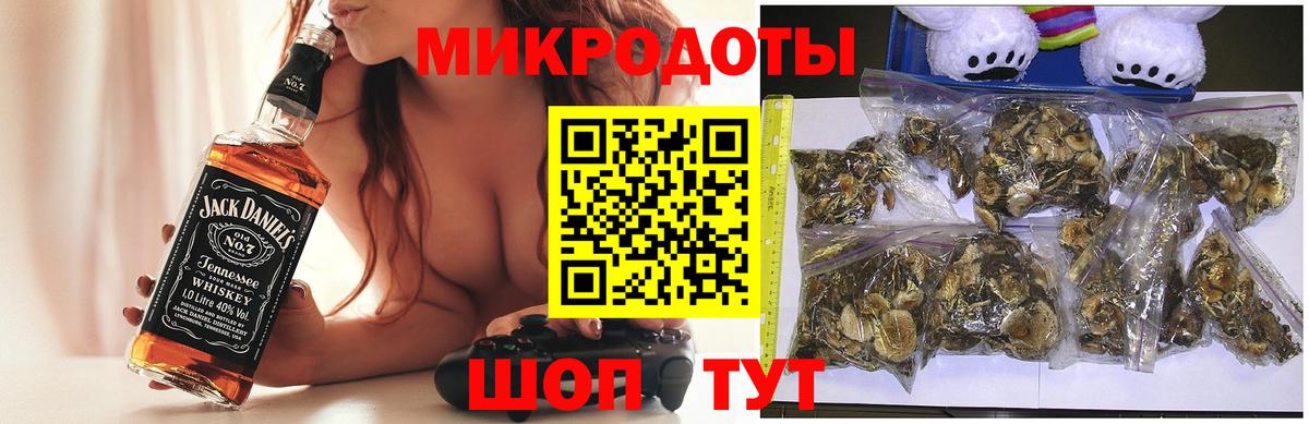 Назарово  Псилоцибиновые грибы Psilocybe  Вход с VPN 