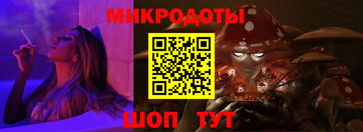 Псилоцибиновые грибы Psilocybe Назарово